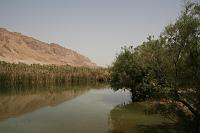 Dead Sea Area photos